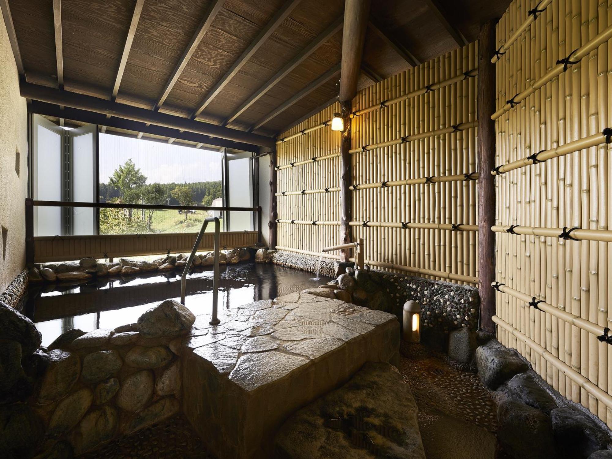 Hotel Hakuba Alps 3*